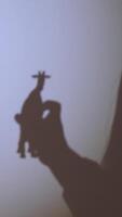 vertical Shadow theater game. Shadow from toy animals on the wall video