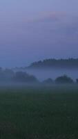 vertical Timelapse of mist and fog rolling over farmland and field video