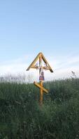 vertical Symbol of faith in God. in field with tall grass video