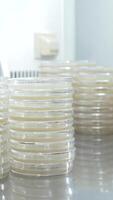 vertical close-up of scientific objects, stacks of petri dishes in laboratory video