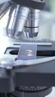 vertical Laboratory examination under a microscope of a drop of water video