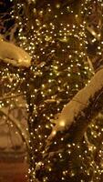 An Enchanting Winter Scene featuring a Snowcovered Tree adorned with Twinkling Lights video