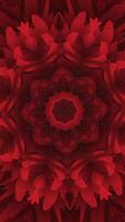An Intricate Abstract Design Featuring Beautiful Red Floral Elements and Patterns video