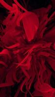 A Stunning and Vivid Abstract Red Composition Featuring Flowing and Dynamic Shapes and Patterns video