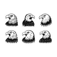 Bald eagle bird with line art design. Perfect for digital projects vector