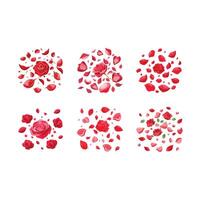 Romantic Rose Petals Design for Elegant Graphics vector