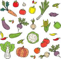 Illustration of vegetable group on empty background. vector