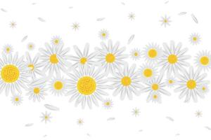 Illustration of Abstract white flower on white background. vector