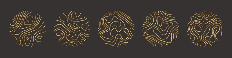 Circular wood rings or topographic map lines texture set. Wood tree topographic abstract lines collection vector