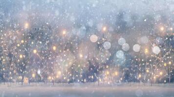 A serene winter night scene with bare trees adorned with glowing lanterns, set against a starry sky. The image evokes a sense of tranquility and wonder, highlighting the beauty of illuminated nature video