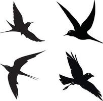bird icon illustration set design. avocet bird logo bundle template vector