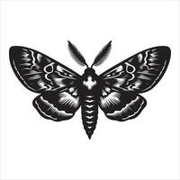 Silhouette Best image of a moth on a white background vector