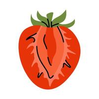 Bright red strawberries, sliced in half, with focus on pulp and green leaves vector