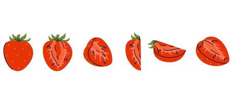 Set of strawberry pieces, whole berry, halved and different slices in various angles vector