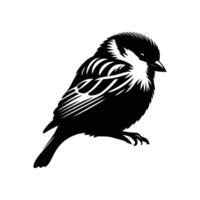 Sparrow Silhouette on White Background vector