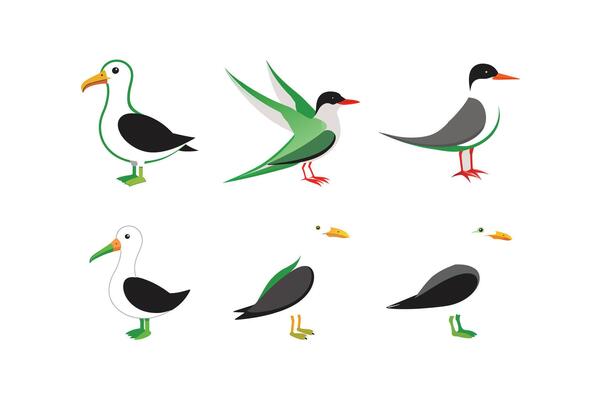 albatross, tern, seagull birds icon art image