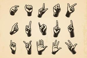 set of hand hands in different gestures hand drawn vintage illustration isolated background vector