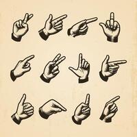 Set of hand drawn hands in different gestures vintage illustration isolated background vector