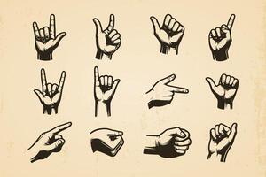 Set of hand drawn hands in different gestures vintage illustration isolated background vector