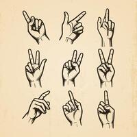 collection of hand drawn hands in different gestures vintage illustration isolated background vector