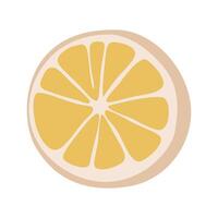 Fresh Lemon Slice Clip Art for Creative Projects vector