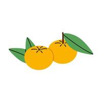 Two tangerines or oranges with leaves. Citrus fruit in flat style. illustration isolated on white background. vector