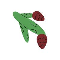 Fir Tree Branch with Cones. Flat illustration isolated on white background. vector