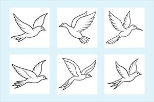 the bird is fly vector