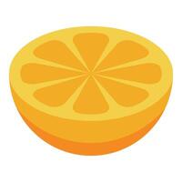 Orange slice showing its fresh and juicy texture vector