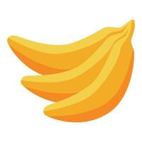 Bunch of bananas creating a vibrant tropical fruit display vector
