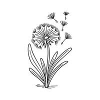 Dandelion with seeds blowing in the breeze vector