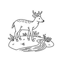 Deer nibbling grass near a flowing stream vector