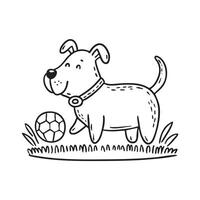 Dog playing with a ball in grass field vector
