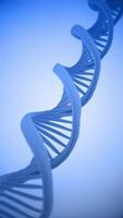 Science motion background animation with a close up view of rotating DNA double helix strands. This genetics concept vertical background is full HD and a seamless loop. video