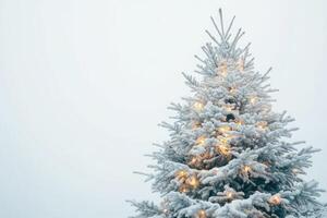 A Snow-Covered Christmas Tree with String Lights photo
