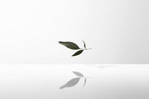 A Single Sprig of Green Leaves with a Reflection on a White Surface photo