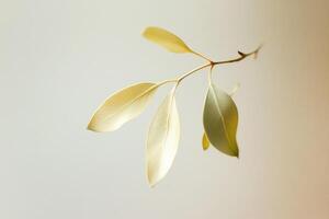 Light Illuminating the Delicate Veins of Golden Leaves photo