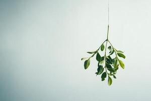 A Sprig of Green Leaves Hanging From a String Against a Pale Blue Background photo