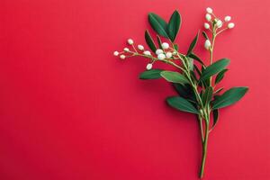 White Flowers and Green Leaves on a Red Background photo