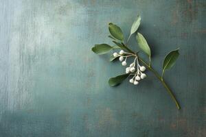 A Sprig of Green Leaves and White Berries on a Textured Teal Surface photo