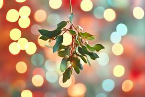 A Sprig of Mistletoe with a Blurred Background of Festive Lights photo