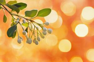Delicate White Buds on a Branch with a Blurred Orange Background photo