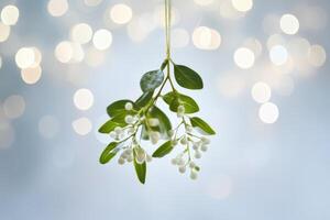 Mistletoe Sprig with White Berries and Green Leaves Against a Blurred Bokeh Background photo