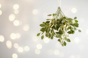 Mistletoe Hanging with Bokeh Lights in the Background photo