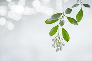 A Branch of White Berries with Green Leaves Hanging from a String photo