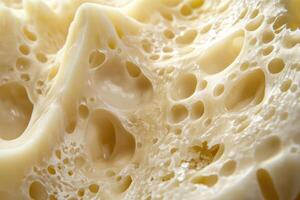 Close-up Macro Shot of the Interior of a Creamy White Cheese photo