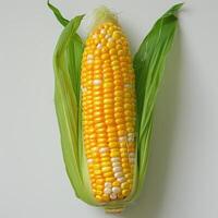 A close-up image of a ripe, yellow corn on the cob. photo