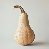 A ripe, pumpkin-colored pumpkin with a green stem attached, standing against a white background. photo
