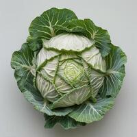 A whole, freshly cooked cabbage with the stem intact, arranged in a circular pattern. photo