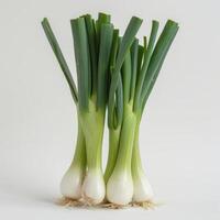 A bundle of onion bulbs surrounded by garlic cloves, resting against a white background. photo